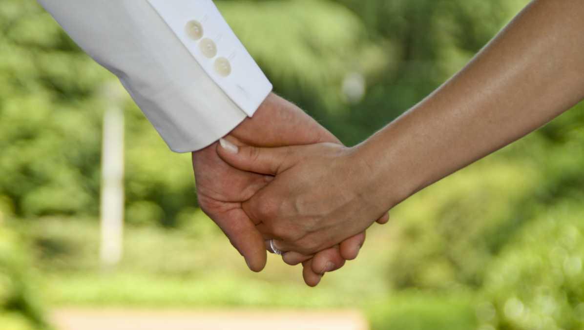 Botanischer Garten Karlsruhe Heiraten Im Botanischen Garten