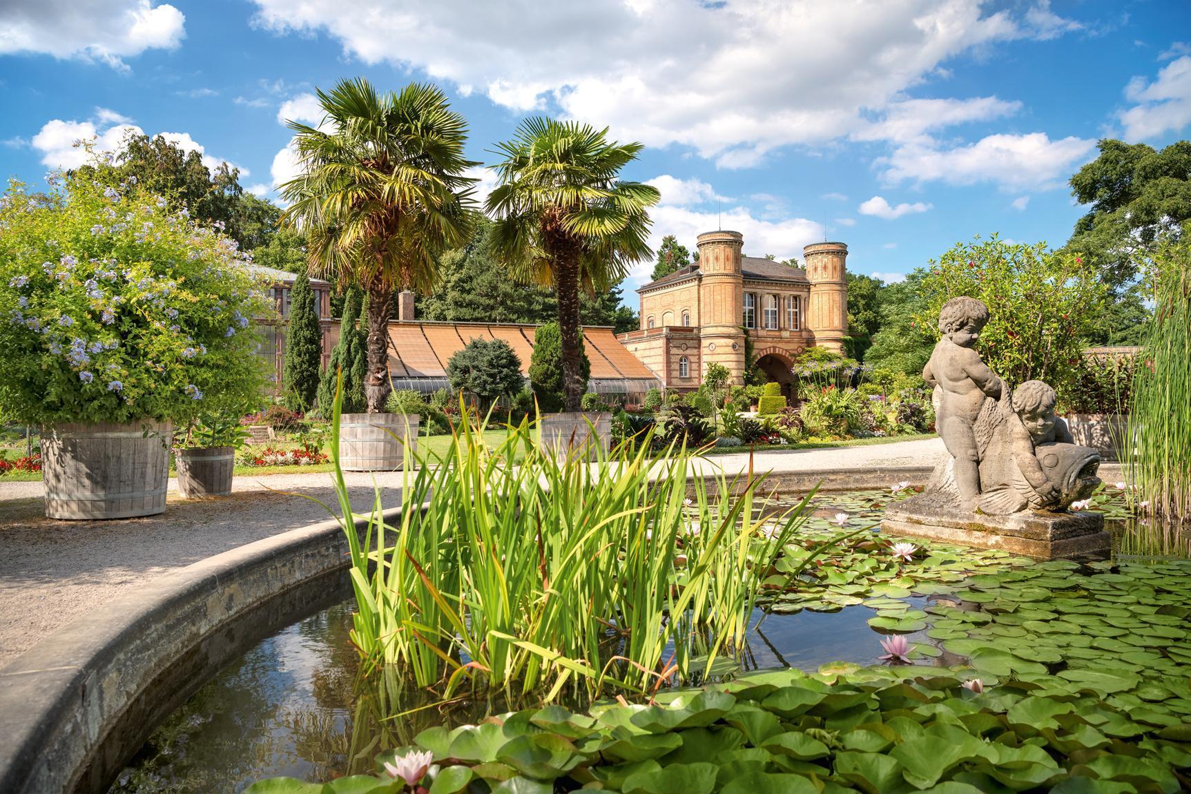 Jardin botanique de Karlsruhe, bassin dans le jardin