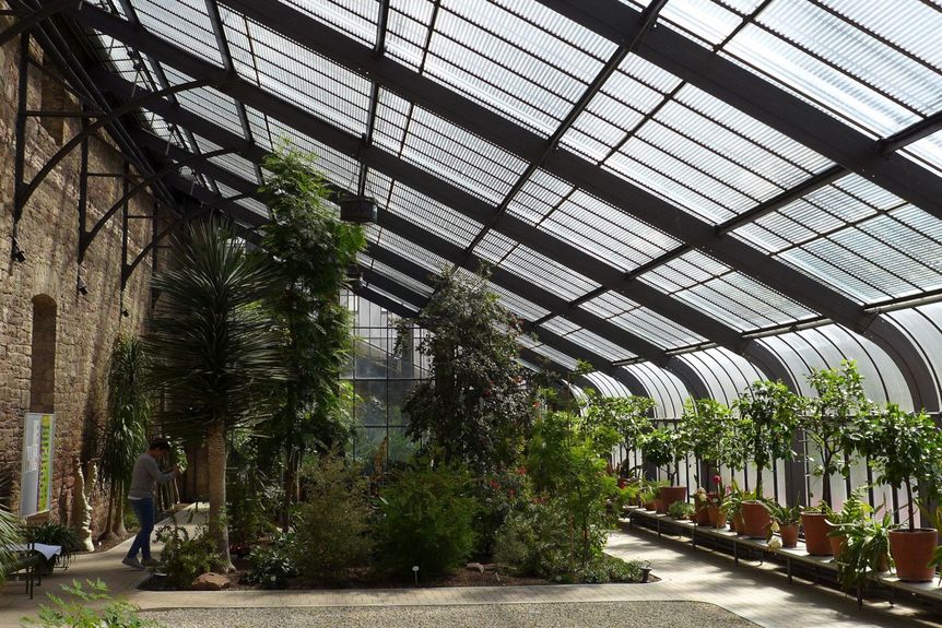 Botanischer Garten Karlsruhe, Innen, Kalthaus