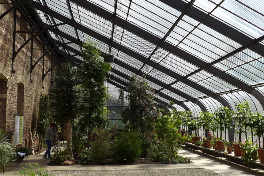 Botanischer Garten Karlsruhe, Innen, Kalthaus