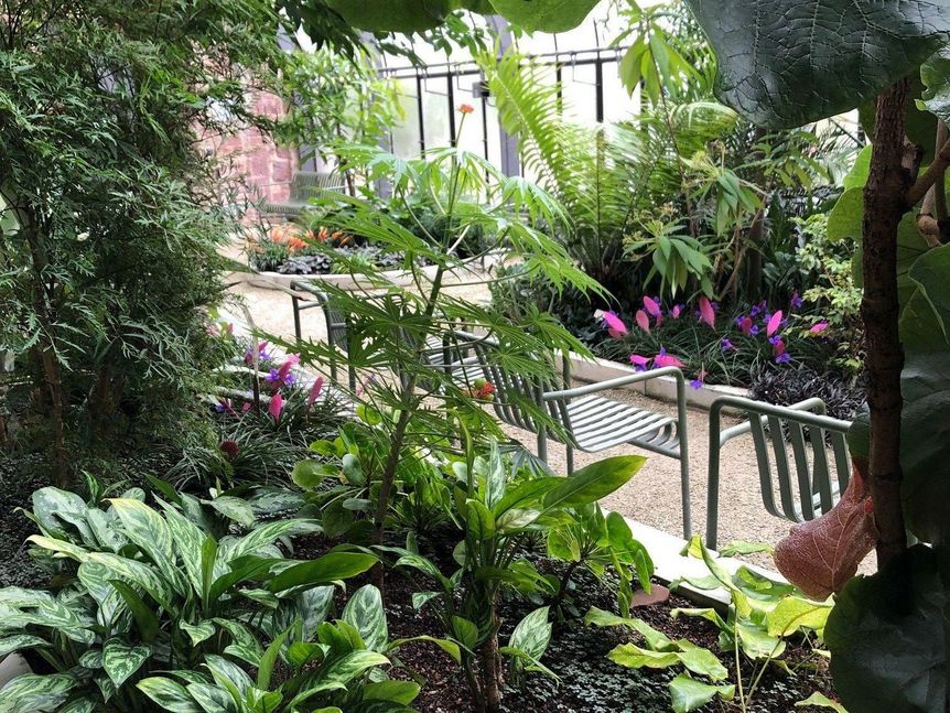 Botanischer Garten Karlsruhe. Tropenhaus - Blick durch das grüne Dickicht
