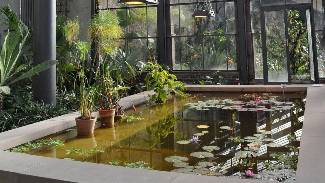 Karlsruhe Botanical Gardens, palm house, water lily pond