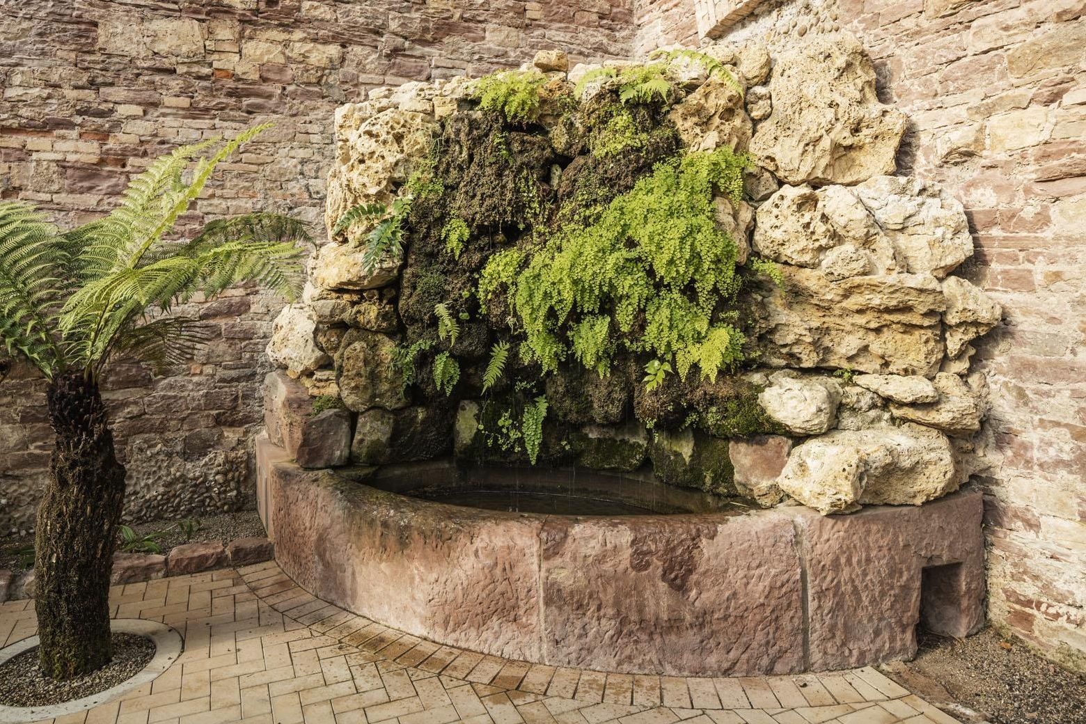 Botanischer Garten Karlsruhe, Kamelien- und Sukkulentenhaus, Tuffsteinbrunnen