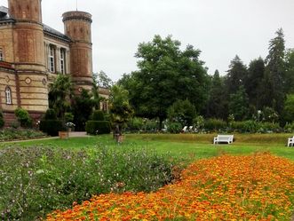 Botanischer Garten Karlsruhe, Ringelblumenbeet