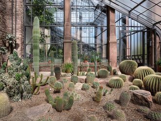 Botanischer Garten Karlsruhe, Pflanzen im Kamelien- und Sukkulentenhaus