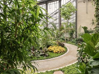 Botanischer Garten Karlsruhe, Pflanzen im Palmenhaus