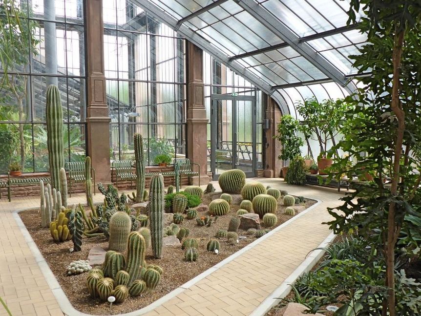 Camellia and succulent house at the Karlsruhe Botanical Gardens
