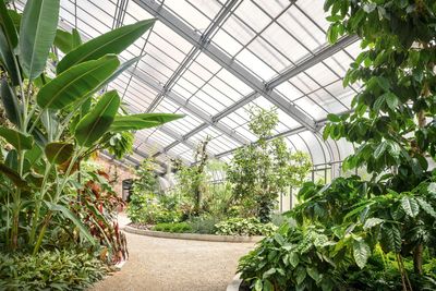 Botanischer Garten Karlsruhe, Gewächshaus Innen