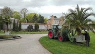 Foto: Staatliche Schlösser und Gärten Baden-Württemberg, Thomas Huber Arbeiten im Botanischen Garten