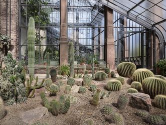 Botanischer Garten Karlsruhe, Kakteen im Gewächshaus