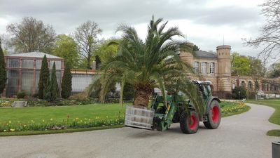 Botanischer Garten Karlsruhe, Frühjahr; Foto: Staatliche Schlösser und Gärten Baden-Württemberg, Thomas Huber