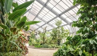 Jardin botanique de Karlsruhe