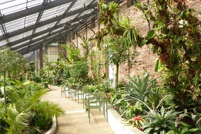 Botanischer Garten Baden-Württemberg, Innenansicht