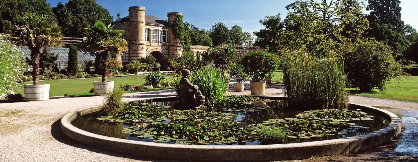 Jardin botanique de Karlsruhe, bassin dans le jardin