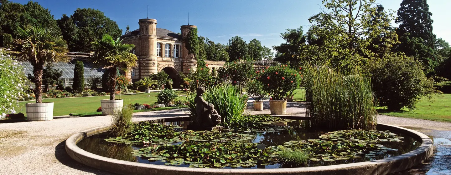 Botanischen Garten Karlsruhe, Bassin im Garten