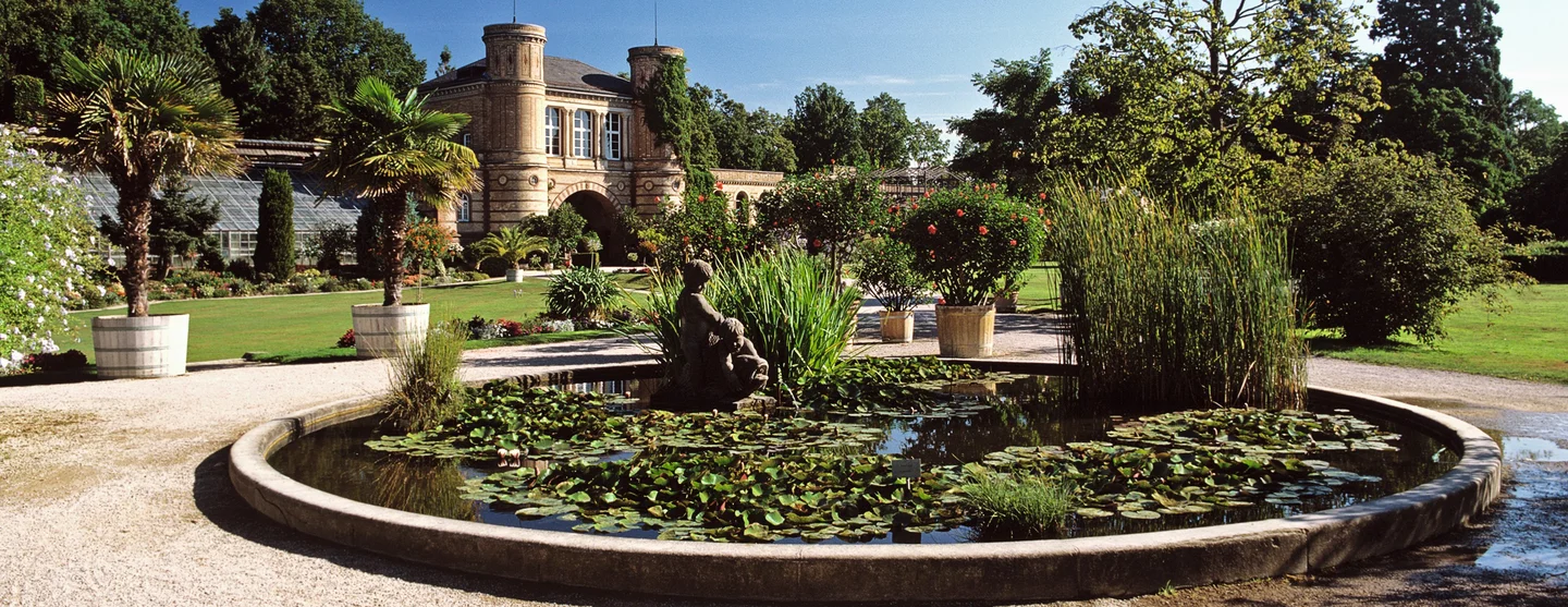 Jardin botanique de Karlsruhe, bassin dans le jardin