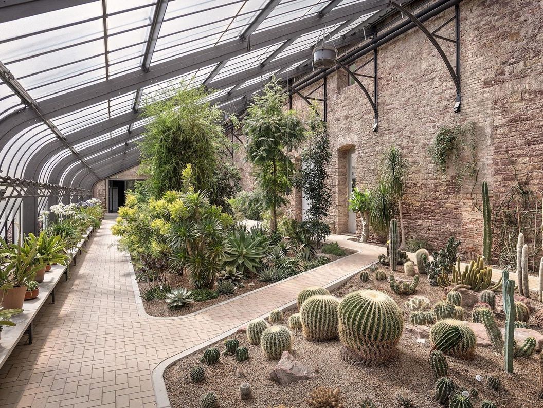 Botanischer Garten Karlsruhe, Agave