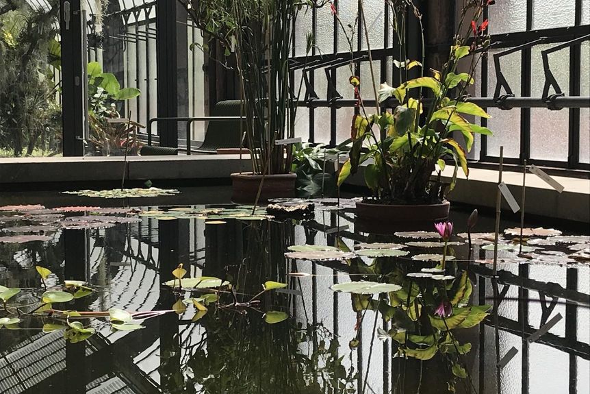 Botanischer Garten Karlsruhe, Innen